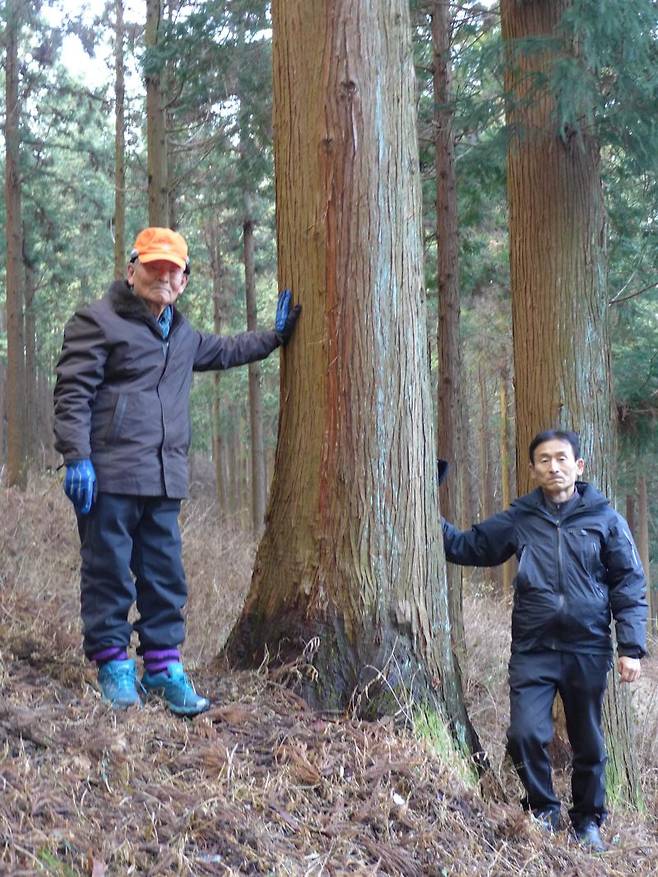 전남도는 장성 출신 고 진재량 모범독림가(사진 왼쪽)가 산림 분야 최고의 명예를 부여하는 '숲의 명예전당'에 7번째 헌정되는 영예를 안았다고 16일 밝혔다. 사진은 고인이 생전에 편백숲을 같이 가꾸어온 아들 진춘호씨(오른쪽)와 함께 한 모습. 전남도 제공