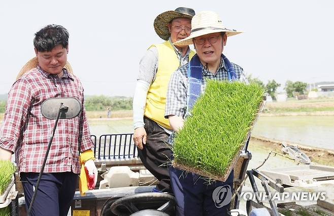 모판 보여주는 이재명 대표 (안성=연합뉴스) 홍기원 기자 = 더불어민주당 이재명 대표가 16일 오후 경기도 안성시 죽산면 장원리에서 열린 '청년농업 현장방문 및 간담회'에서 모판을 보여주고 있다. 2023.5.16 xanadu@yna.co.kr