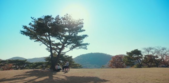 강호와 동네 꼬마들이 초원 위에서 야구를 하며 뛰노는 장면을 '화랑의언덕'에서 촬영했다. 사진 JTBC