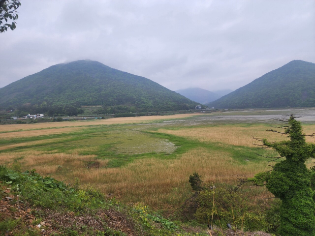 ▲관광단지 예정부지로 알려진 전남여수시 돌산읍 평사리 ㅁ무슬목 목장용지. ⓒ여수시민사회단체연대회의