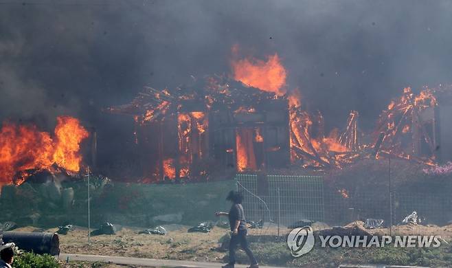 강릉 산불  [연합뉴스 자료사진]