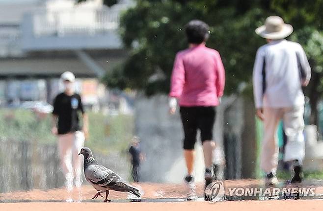 '날기도 힘들어' (대구=연합뉴스) 윤관식 기자 = 대구지역 낮 기온이 32.7도를 넘어선 17일 오후 대구 중구 대봉교 인근 신천둔치에서 비둘기가 열기로 가득한 산책로를 지나가고 있다. 2023.5.17 psik@yna.co.kr