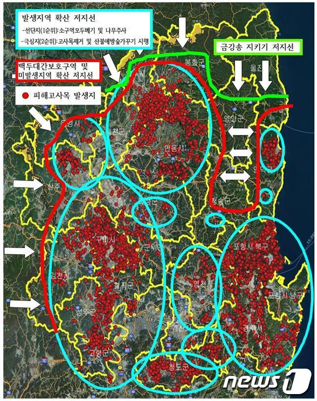 경북 소나무재선충병 발생 현황도(경북도 제공)