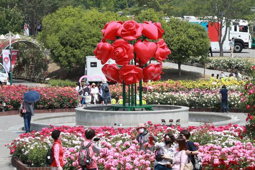 지난해 열린 울산대공원 장미축제 전경. 울산시 제공