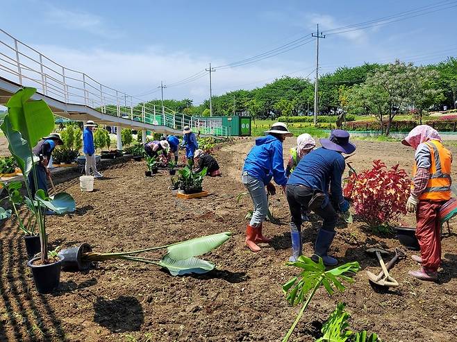 순천시와 국립 원예특작과학원이 풍덕경관정원과 문화의 거리에 열대풍 이색정원을 조성했다. / 사진=순천시 제공