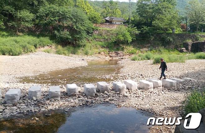 울산 울주군 반구대암각화 상류 반고서원 앞 대곡천에 조성된 징검다리. (울산환경운동연합 제공)