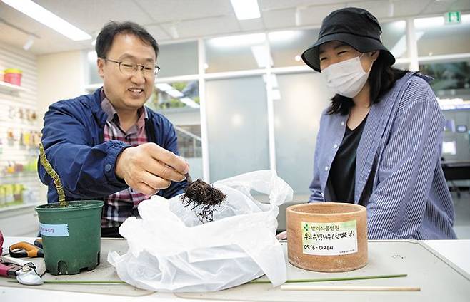 지난 16일 오전 서울 서초구 내곡동 서울시농업기술센터가 운영 중인 반려식물병원에서 주재천 원장이 시민이 가져온 식물의 뿌리를 들어 보이며 진료를 보고 있다. 주 원장은 “뿌리가 썩어 되살리기 어렵다”고 했고, 식물 주인은 안타까워했다. /고운호 기자