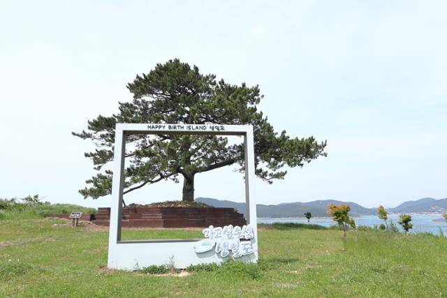 전남 완도군 생일도 관문항인 서성항 바로 뒤에 생일송 포토존이 설치돼 있다. 완도=정광진 기자