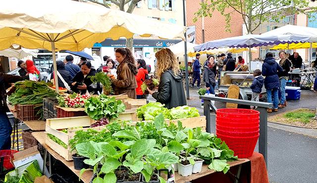 프랑스 남부 소도시인 알비 시내 페르낭 펠루티에 광장에 열린 ‘녹탐 유기농 야시장(Noctambio·녹탐비오)’ 모습.