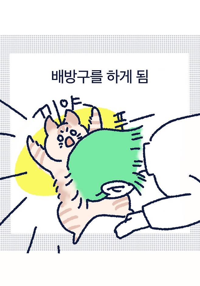 배방구를 하게 됨