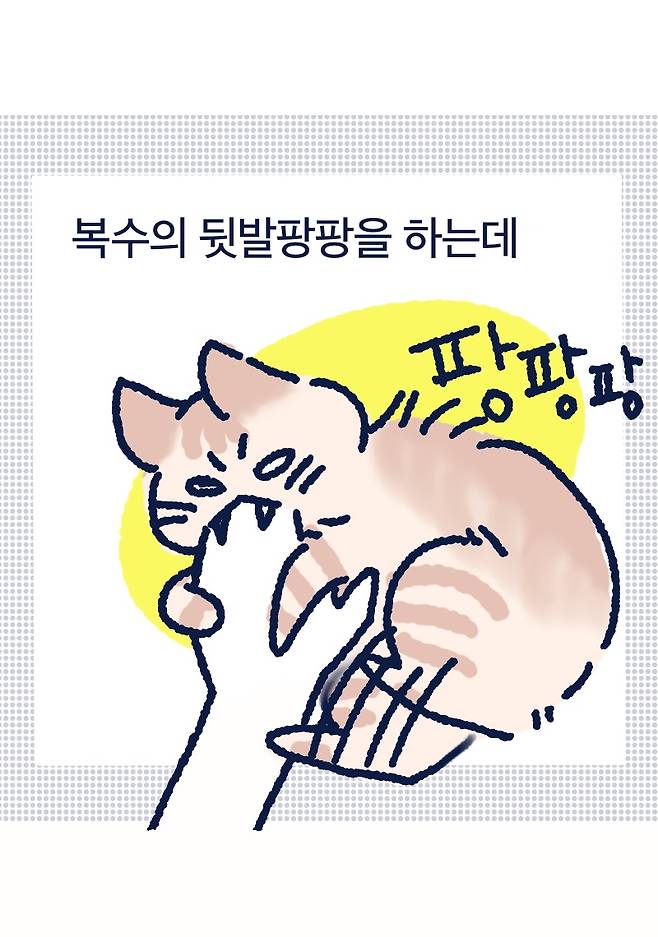 복수의 뒷발팡팡을 하는데 팡팡팡