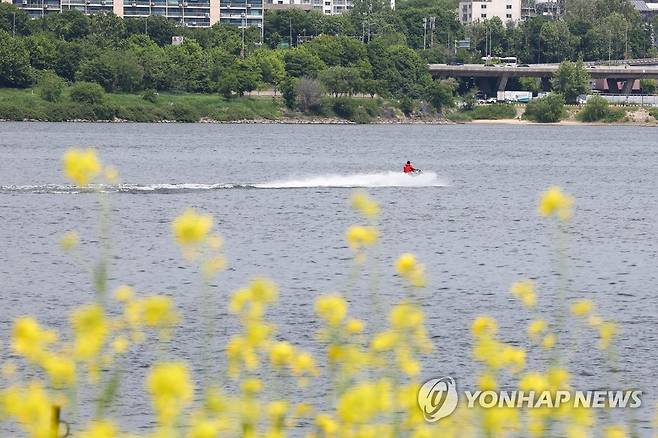 초여름을 보내는 각자의 방법 (서울=연합뉴스) 서대연 기자 = 14일 서울 서초구 반포한강공원 서래섬에서 2023 한강 서래섬 유채꽃 축제가 열리고 있는 가운데 한 시민이 한강에서 수상레저를 즐기고 있다. 2023.5.14 dwise@yna.co.kr