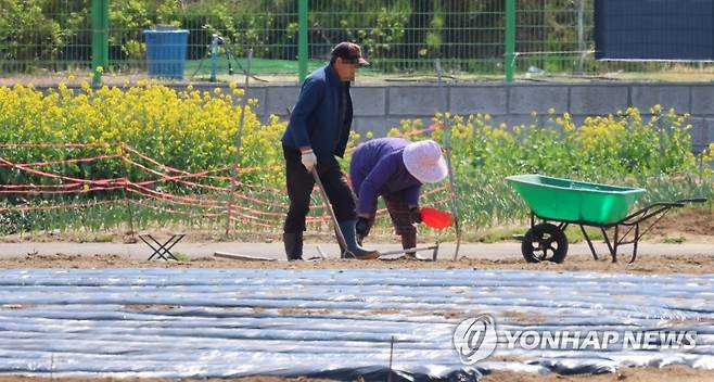 농작물 파종 바쁜 농민 [연합뉴스 자료사진]