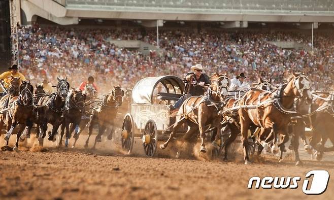 카우보이 경주 대회(캐나다관광청 제공)
