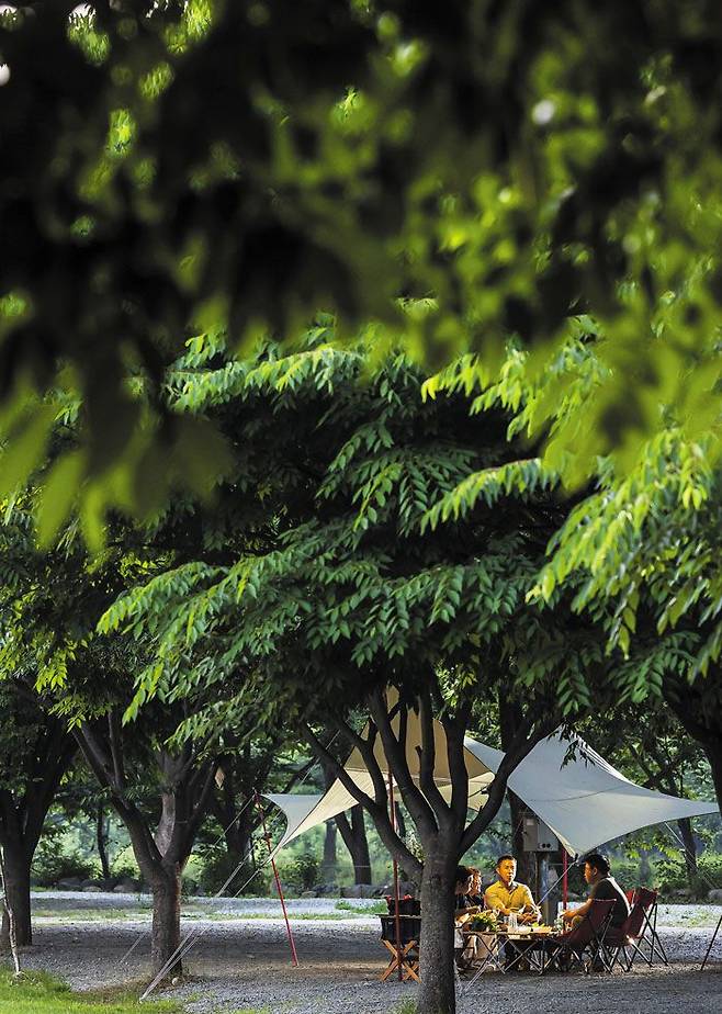 국립공원공단은 다음 달부터 5년간 총2500억원을 투입, 국립공원 내 야영장과 화장실 등에 대한 전면적인 개·보수 작업에 나선다. 왼쪽 사진은 최근 힐링 장소로 사람들이 많이 찾는 강원도 화천의 한 사설 캠핑장. /양수열 영상미디어기자