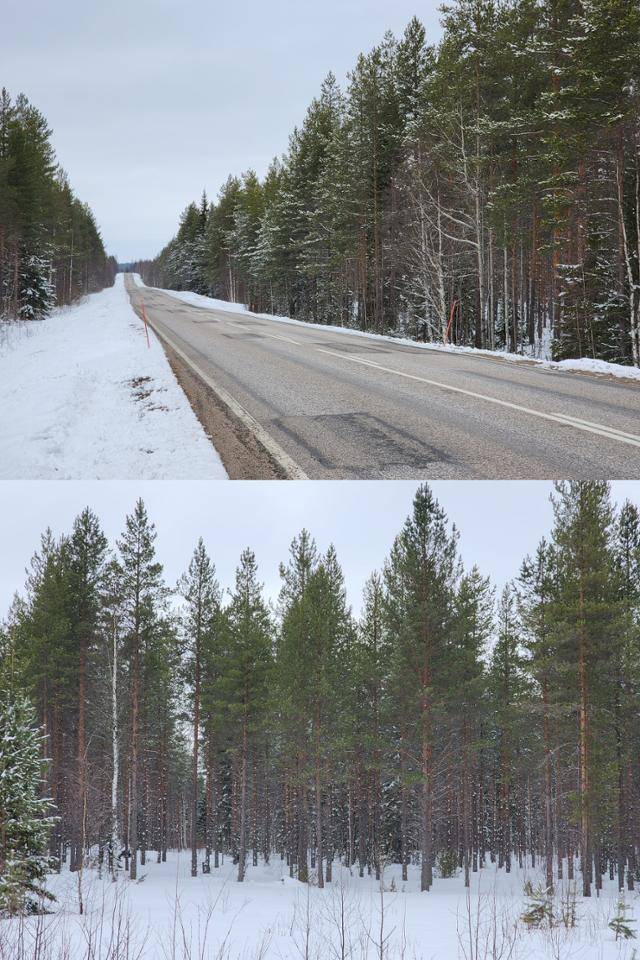 4월 25일 핀란드 소도시 푸올란카로 향하는 진입로 전경. (위쪽 사진부터) 도로엔 차량이 다니지 않아 한적하고, 도로 양옆으로는 울창한 숲이 들어서 있다. 푸올란카(핀란드)=신은별 특파원