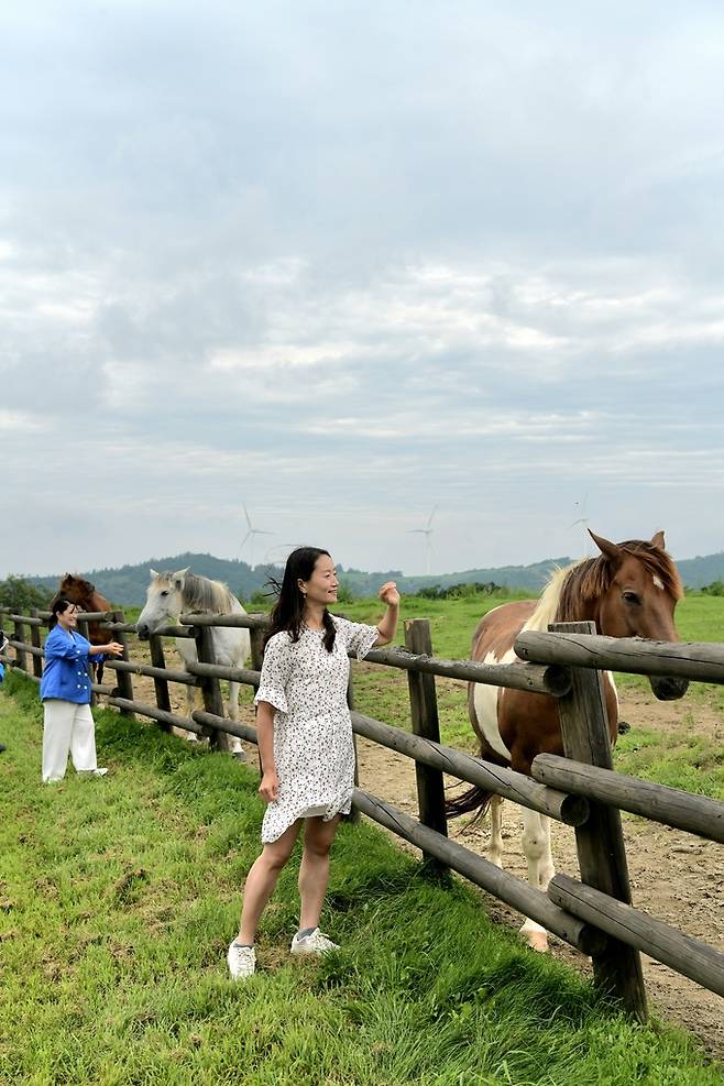 대관령 하늘목장.