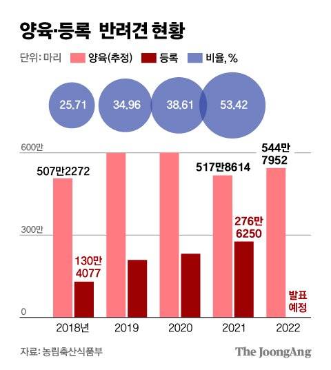 그래픽=김영희 02@joongang.co.kr