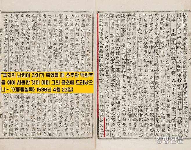 아버지의 첩과 짜고 아버지에게 폭탄주(‘소주+백화주’)를 마시게 해서 죽인 비정한 아들의 사건을 기록한 <중종실록>. 아버지(오찬)의 첩(돌지)과 정을 통한 아들은 간통행각이 드러나자 ‘소주와 백화주’를 섞은 폭탄주로 아버지(남편)을 살해했다.