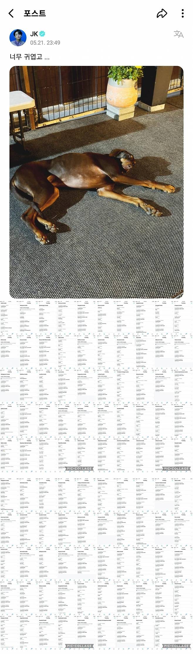 "너무 귀엽고.." 방탄소년단 정국 반려견 '전밤' 공개에 전 세계 '들썩'