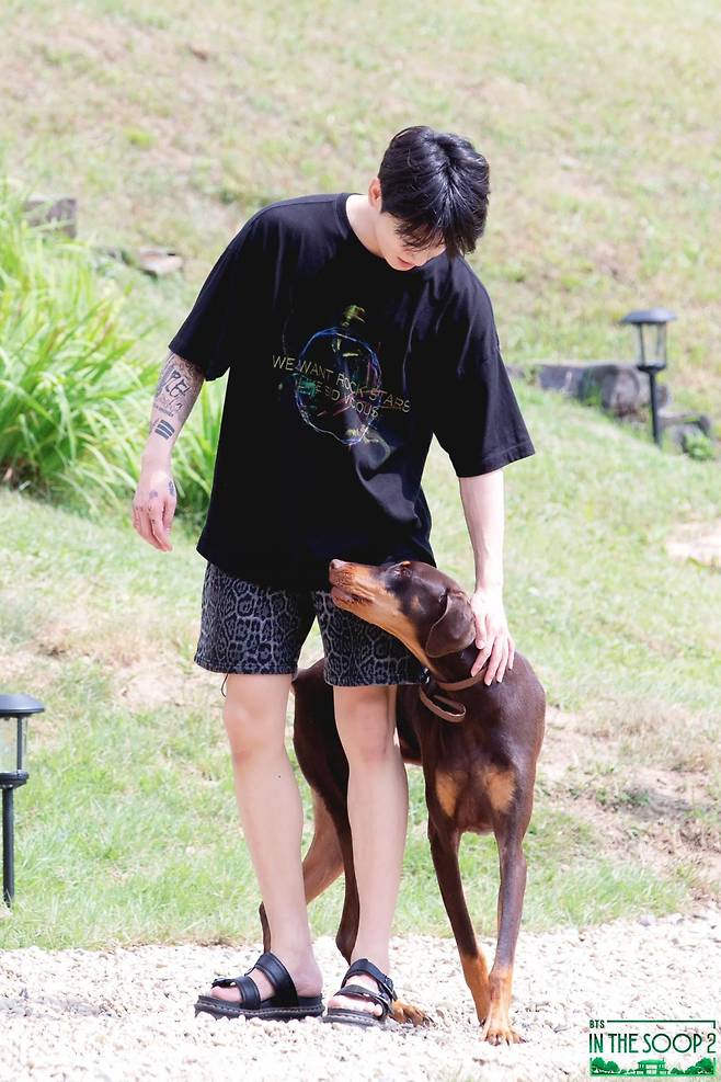 "너무 귀엽고.." 방탄소년단 정국 반려견 '전밤' 공개에 전 세계 '들썩'