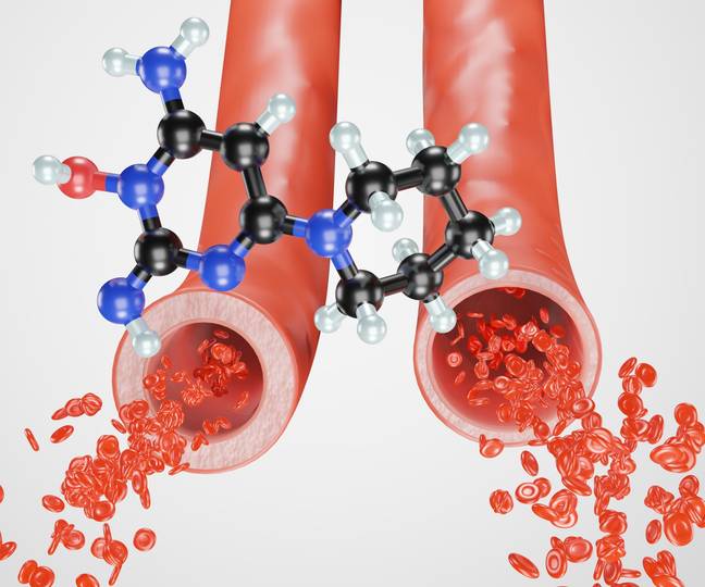 [사진=게티이미지뱅크]