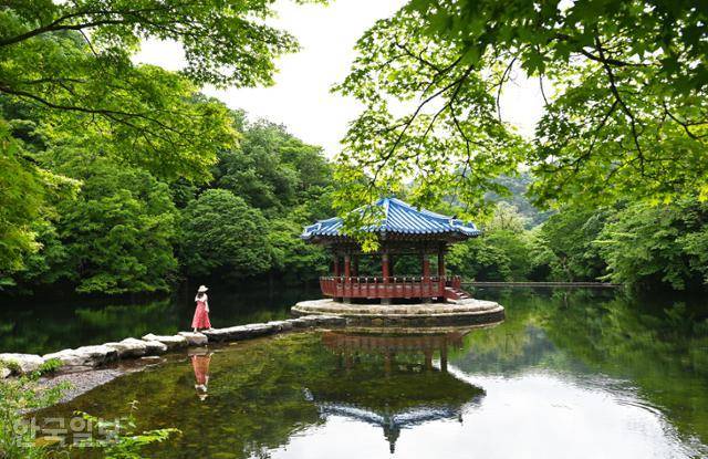 내장사 우화정은 어디에도 빠지지 않는 인증사진 명소다.