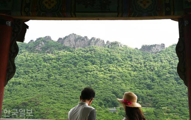 케이블카를 타고 올라 전망대에서 보는 내장산 서래봉.