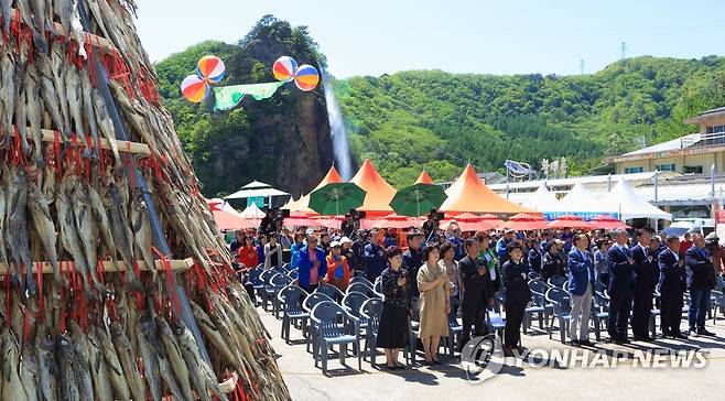 '황금빛 명작' 인제 황태 축제 [인제군 제공. 연합뉴스 자료사진]