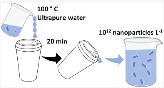 일회용컵 나노플라스틱, 100도의 뜨거운 물에 20분간 노출시키면 L당 1조 개, mL당 10억 개의 나노플라스틱이 용출된다.