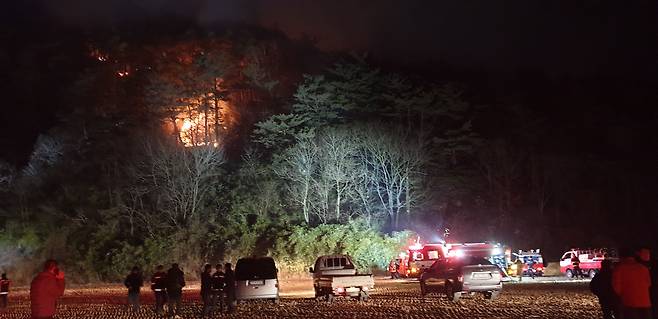 지난 2월 2일 산림당국이 경북 울진군 기성면 방울리 야산에서 발생한 산불 잔화 작업을 펼치고 있다. /뉴스1
