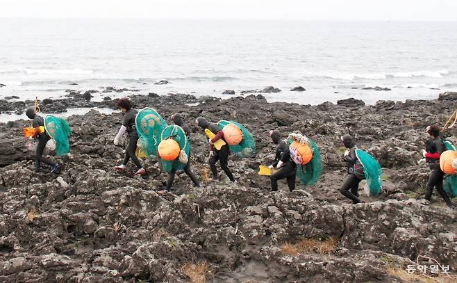 해산물 채취를 위해 거친 바다로 가는 제주 해녀들. 고령화 등으로  해마다 해녀 수가 감소하면서 해녀문화의 맥이 끊길 위기에 처했다. 임재영 기자 jy788@donga.com
