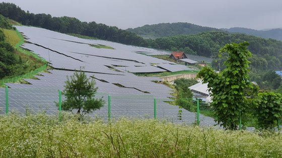 충남 천안의 산지 태양광 발전소 모습. 강주안 기자