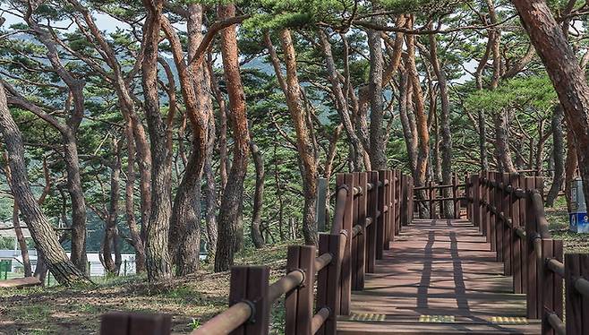 인천 덕적도 자전거길 / 사진 = 인천광역시