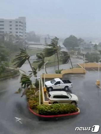 지난 24일(현지시간) 괌 타무닝에 있는 한 리조트 주차장에서 나무들이 태풍 '마와르'의 강풍에 휩쓸리고 있다./사진=로이터=뉴스1