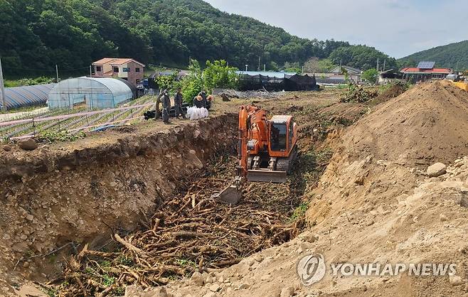 과수화상병 사과나무 매몰작업  [연합뉴스 자료사진]