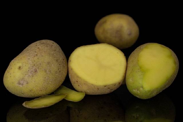 초록색으로 변한 감자 역시 싹이 난 감자만큼 위험하다./사진=게티이미지뱅크