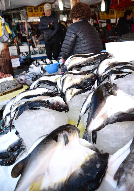 강원 강릉 주문진항 일원의 한 시장에서 손질된 복어가 가지런히 쌓여있다. /사진=뉴스1