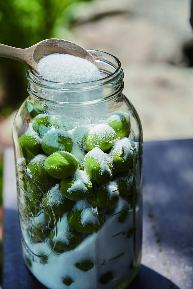 매실청 담그기. 전원생활 DB