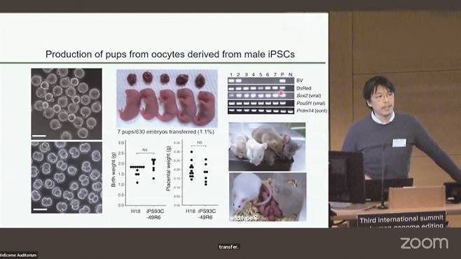 2023년 3월 8일, 영국 런던에서 열린 제3차 유전자 편집 국제회의에서 연구 결과를 발표 중인 하야시 가쓰히코 교수.영국왕립학회 제공