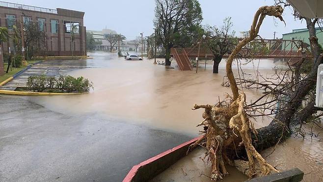 슈퍼 태풍 마와르가 태평양의 미국령 괌을 강타한 25일(현지시간) 나무들이 강풍에 꺾여 거리에 쓰러져 있다. [사진 출처 = AP, 연합뉴스]
