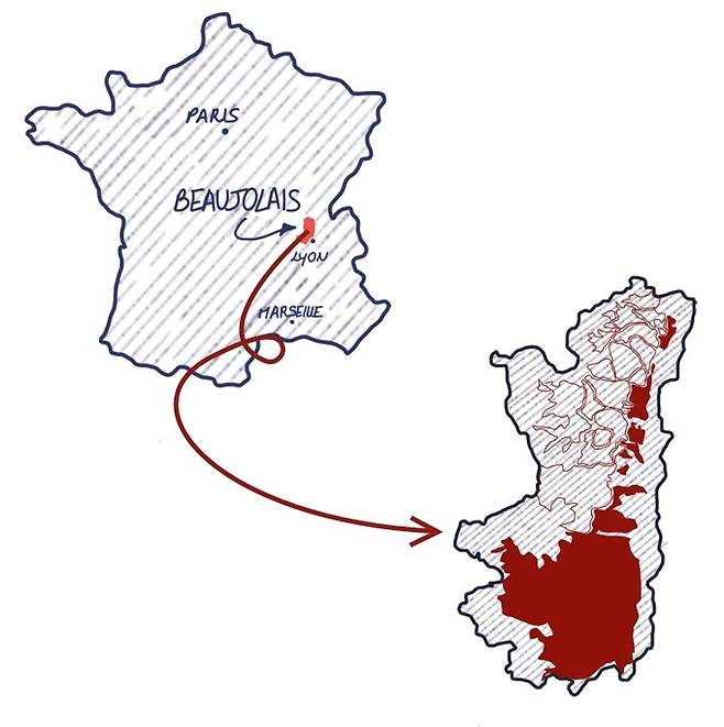 보졸레 위치.&nbsp; &nbsp; &nbsp; &nbsp; &nbsp; &nbsp; &nbsp; 소펙사 코리아 제공