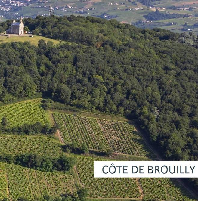 꼬뜨 드 브루이.&nbsp; &nbsp; &nbsp; &nbsp; &nbsp; &nbsp; 소펙사 코리아 제공