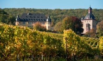 슐로스 폴라즈 와이너리.