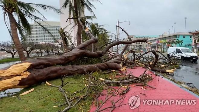 괌 휩쓴 '슈퍼 태풍'으로 거리에 쓰러진 나무들 (투몬 만[미국] AFP=연합뉴스) 4등급 '슈퍼 태풍' 마와르가 태평양의 미국령 괌을 강타한 25일(현지시간) 나무들이 강풍에 꺾여 거리에 쓰러져 있다. 괌 당국은 이번 태풍으로 인한 인명 피해는 없으나 강풍과 폭우로 인한 단전·단수가 이어져 현지인과 관광객들이 큰 어려움을 겪고 있다고 전했다. 2023.05.26 yerin4712@yna.co.kr