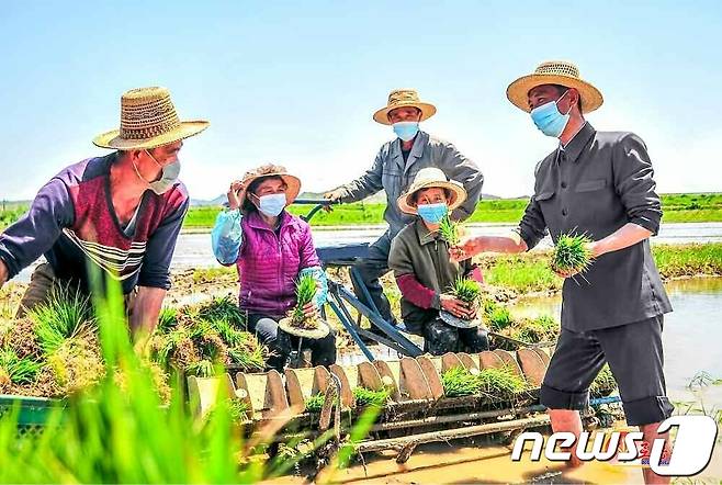 (평양 노동신문=뉴스1) = 북한 북한 평안북도 곽산군 초장농장에서 "모내기를 적기에 보장하기 위해 애쓰고" 있다고 29일 노동당 기관지 노동신문이 보도했다. [국내에서만 사용가능. 재배포 금지. DB 금지. For Use Only in the Republic of Korea. Redistribution Prohibited] rodongphoto@news1.kr