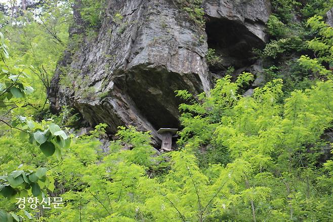 충북 제천시가 조성한 밀원숲에 토종벌통이 놓여 있다. 주영재 기자