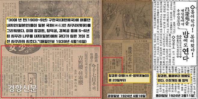 창경원의 벚꽃놀이는 1918년 무렵부터 시작된다. 서울에 머물던 일본인들이 1908~9년 사이 창경궁 등에 심은 벚꽃나무가 10년 정도가 지나 화려한 꽃을 피운 것이다. 해마다 4월이 되면 창경원은 ‘놀이동산’으로 전락했다. 급기야 1924년 봄부터는 ‘창경원 밤벚꽃놀이’(야앵·夜櫻)가 시작된다.