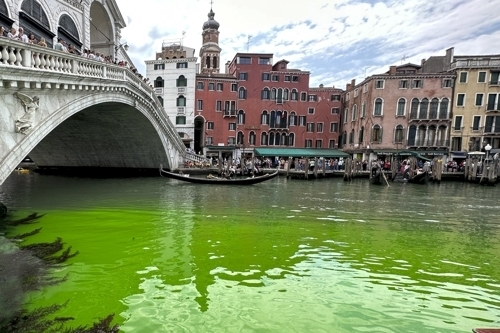 베네치아 관광 명소 리알토 다리 인근 강물이 녹색으로 변했다. [사진출처  = 연합뉴스]