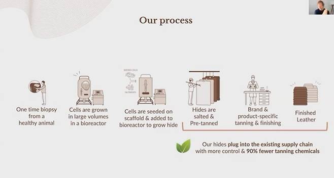 비트로랩스 가죽 공정 절차를 표현한 그림. (왼쪽부터) 건강한 동물 세포를 채취해 바이오리액터에서 기른다. 배양에 3~4주가 걸린다. 이어 무두 과정은 전통 방식에 비해 화학물질을 90% 덜 쓰고, 시간도 사흘 밖에 걸리지 않는다. [CellAgri 유튜브채널 갈무리]